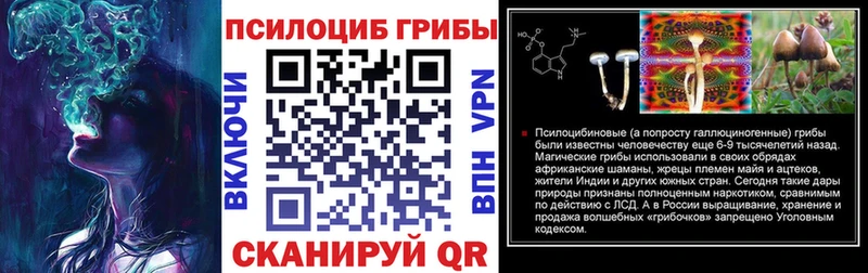 маркетплейс состав  Сокол  Псилоцибиновые грибы Psilocybine cubensis  цены наркотик 
